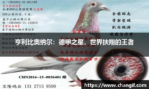 亨利比奥纳尔：德甲之星，世界扶翔的王者