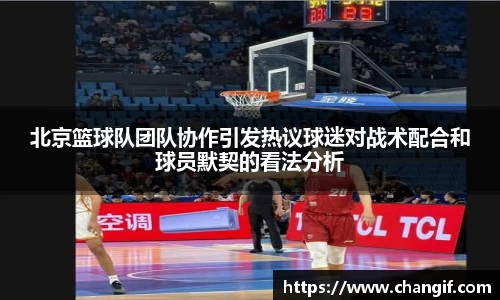 北京篮球队团队协作引发热议球迷对战术配合和球员默契的看法分析
