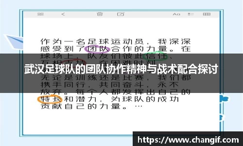 武汉足球队的团队协作精神与战术配合探讨